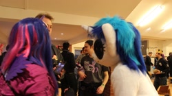 Size: 2074x1165 | Tagged: safe, artist:atalonthedeer, dj pon-3, vinyl scratch, human, g4, 2013, fursuit, indoors, irl, irl human, photo, ponysuit, wwu