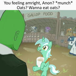 Size: 4000x4000 | Tagged: safe, artist:ciborgen, lyra heartstrings, shining armor, oc, oc:anon, human, pony, unicorn, g4, bag, boobs? wanna touch boobs?, feed bag, food, horn, meme, oats, outdoors, that pony sure does love oats