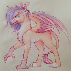 Size: 1080x1080 | Tagged: safe, artist:momoalistair, oc, oc only, griffon, chest fluff, female, solo, traditional art