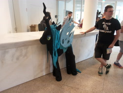 Size: 4608x3456 | Tagged: safe, queen chrysalis, human, galacon, g4, 2015, indoors, irl, irl human, photo, plushie