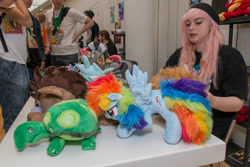 Size: 2500x1667 | Tagged: safe, rainbow dash, tank, zecora, human, galacon, g4, 2015, indoors, irl, irl human, photo, plushie, spread wings, wings