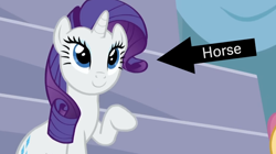 Size: 1254x703 | Tagged: safe, artist:ilovekimpossiblealot, rarity, horse, pony, unicorn, g4, arrow, captain obvious, female, horn, mare, truth