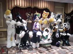 Size: 5600x4200 | Tagged: oc name needed, safe, artist:atalonthedeer, artist:giovannimagnus, doctor whooves, princess celestia, time turner, oc, oc:electuroo, oc:kaouk, g4, 2019, confuzzled, furry, fursuit, group photo, indoors, irl, photo, ponysuit