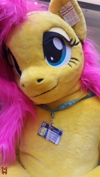 Size: 2988x5312 | Tagged: safe, artist:atalonthedeer, artist:giovannimagnus, fluttershy, g4, 2019, bust, confuzzled, fursuit, irl, photo, ponysuit, portrait