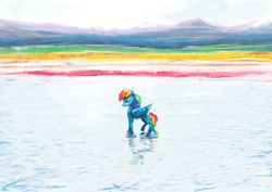 Size: 3508x2480 | Tagged: safe, artist:xallaanacyoxcyor, rainbow dash, pegasus, pony, g4, female, mare, reflection, scenery, solo