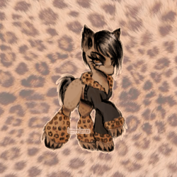 Size: 1500x1500 | Tagged: safe, artist:lompyloops, oc, oc only, earth pony, pony, clothes, jacket, leg warmers, solo