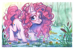 Size: 6582x4410 | Tagged: safe, artist:dorry, pinkie pie, g4, aquarelle, canon, female, forest, looking at you, mare, nature, outdoors, passepartout, signature, solo, traditional art, tree