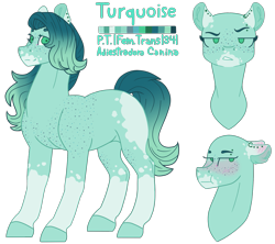 Size: 1731x1536 | Tagged: safe, artist:plixine, oc, oc only, oc:turquoise, earth pony, pony, female, mare, reference sheet, simple background, solo, transparent background