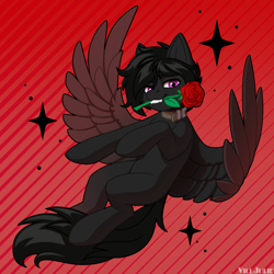 Size: 2000x2000 | Tagged: safe, artist:villjulie, oc, oc only, pegasus, pony, flower, flower in mouth, mouth hold, pegasus oc, rose, rose in mouth, solo