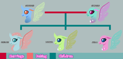 Size: 1980x950 | Tagged: safe, artist:alejandrogmj, artist:wasisi, derpibooru exclusive, axilla, carapace (g4), lumbar, ocellus, spiracle, changedling, changeling, g4, base used, family tree, older, older axilla, older lumbar, older ocellus