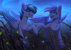 Size: 2480x1748 | Tagged: safe, artist:glumarkoj, oc, bat pony, firefly (insect), insect, pegasus, pony, aurora borealis, bracelet, chest fluff, duo, holding hooves, jewelry, night, running