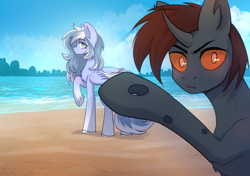 Size: 2480x1748 | Tagged: safe, artist:glumarkoj, oc, oc only, changeling, pegasus, pony, beach, blushing, chest fluff, covering, curved horn, duo, female, horn, mare, ocean, water