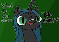 Size: 2048x1448 | Tagged: safe, artist:ewoudcponies, queen chrysalis, changeling, changeling queen, g4, bust, dialogue, female, open mouth, outline, solo, white outline