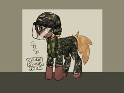 Size: 2048x1536 | Tagged: safe, artist:chunk_spunk, earth pony, pony, clothes, colored, female, helmet, looking at you, mare, military uniform, solo, uniform