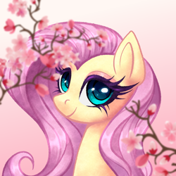 Size: 2500x2500 | Tagged: safe, artist:0nixiecherry0, fluttershy, pegasus, pony, g4, bust, cherry blossoms, cute, flower, flower blossom, gradient background, looking at you, shyabetes, smiling, smiling at you, solo, tree branch