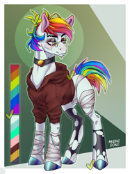 Size: 2179x2907 | Tagged: safe, artist:akenodono, oc, oc only, earth pony, pony, bandage, bell, bell collar, clothes, collar, eye scar, eyebrow slit, eyebrows, facial scar, glasses, hoodie, male, passepartout, reference sheet, scar, solo, stallion