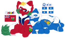 Size: 1627x960 | Tagged: safe, artist:vanillaswirl6, oc, oc only, oc:ontario, oc:quebec, vanillaswirl6's state ponies, canada, duo, flag, fluffy, male, ontario, quebec, simple background, transparent background