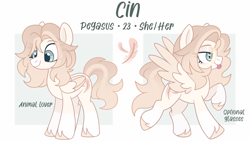 Size: 2757x1569 | Tagged: safe, artist:cinnamontee, oc, oc:cin, pegasus, pony, female, glasses, mare, reference sheet, solo, tongue out