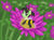 Size: 3000x2200 | Tagged: safe, artist:t72b, oc, oc:beefilly, oc:filly anon, bee pony, original species, pony, animal costume, antennae, bee costume, clothes, costume, female, filly, flower, foal, looking back, outdoors, pollen, smiling, smol