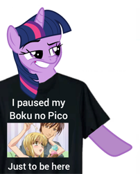 Size: 720x892 | Tagged: safe, edit, twilight sparkle, g4, /mlp/, 4chan, anime, boku no pico, meme