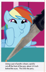 Size: 236x364 | Tagged: safe, edit, edited screencap, screencap, rainbow dash, pony, g4, female, image, mare, meme, text, this kills the crab