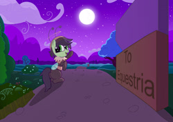 Size: 2895x2048 | Tagged: safe, artist:n', oc, oc only, oc:beefilly, oc:filly anon, bee pony, original species, pony, female, filly, foal, looking back, moon, night, outdoors, sign, solo, stars, text