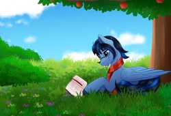 Size: 1640x1118 | Tagged: safe, artist:decemberbreeze, oc, oc only, pegasus, pony, book, pegasus oc, reading, solo, tree