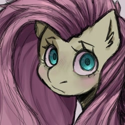 Size: 2000x2000 | Tagged: safe, artist:samirachuni, part of a set, fluttershy, pony, g4, bust, female, frown, high res, looking at you, portrait, simple background, solo