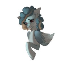 Size: 2000x2000 | Tagged: artist needed, safe, oc, oc only, oc:glacier, pegasus, pony, fetlock tuft, male, simple background, solo, stallion, white background