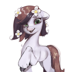 Size: 2048x2048 | Tagged: safe, artist:505p0ni, oc, oc only, earth pony, pony, female, flower, flower in hair, mare, simple background, solo, unshorn fetlocks, white background