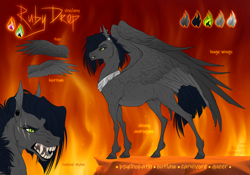 Size: 3000x2100 | Tagged: safe, artist:dementra369, oc, oc only, oc:ruby drop, pegasus, pony, pegasus oc, reference sheet, solo