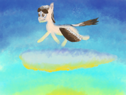 Size: 2880x2160 | Tagged: safe, artist:zenco, oc, oc:crimmi, pegasus, cloud, digital art, flying, pegasus oc, sky