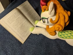 Size: 4032x3024 | Tagged: safe, autumn blaze, kirin, g4, book, chinese, irl, open book, photo, plushie, reading, solo, text