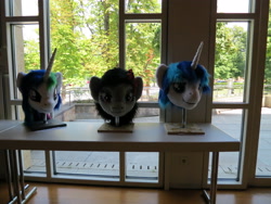 Size: 4000x3000 | Tagged: safe, artist:atalonthedeer, octavia melody, princess celestia, shining armor, galacon, g4, 2013, disembodied head, fursuit head, irl, photo, ponysuit, table, trio