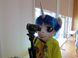 Size: 4000x3000 | Tagged: safe, artist:atalonthedeer, shining armor, human, galacon, g4, 2013, disembodied head, fursuit head, irl, irl human, photo, ponysuit, solo, table