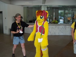 Size: 2304x1728 | Tagged: safe, artist:atalonthedeer, oc, oc:canni soda, human, galacon, 2013, fursuit, irl, irl human, photo, ponysuit