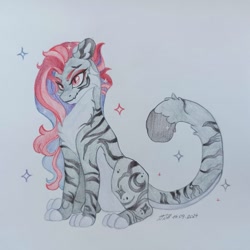 Size: 961x961 | Tagged: safe, artist:jjsh, oc, oc only, big cat, hybrid, pony, tiger, female, hybrid oc, mare, pencil drawing, sitting, solo, stripes, tiger oc, traditional art