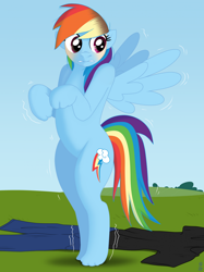 Size: 1662x2217 | Tagged: safe, artist:redpaladin, rainbow dash, human, pegasus, pony, g4, bipedal, human to pony, outdoors, shivering, solo, spread wings, transformation, wings