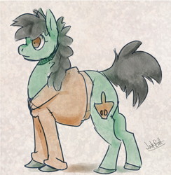 Size: 1074x1099 | Tagged: safe, artist:lawkbutt, oc, oc only, earth pony, pony, #sketch, digital art, solo, traditional art, watercolor painting