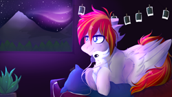 Size: 1920x1080 | Tagged: safe, artist:amiicommissions, oc, oc:heartfire, bird, cockatoo, pegasus, pony, lying down, male, night, prone, solo, stallion