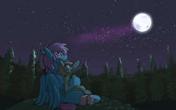 Size: 3858x2400 | Tagged: safe, artist:sleepyhoers, oc, oc only, oc:atom, oc:lemming, pegasus, pony, can, drink, full moon, male, moon, moonlight, night, pointing, stallion, stars, tree, wings