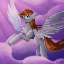 Size: 2000x2000 | Tagged: safe, artist:erein, oc, oc only, oc:pastello zoccoli da venezia, pegasus, pony, blue eyes, brown mane, cloud, crepuscular rays, ears up, evening, flying, gray coat, high res, male, multicolored hair, pegasus oc, sky, solo, spread wings, wings