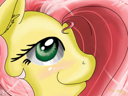 Size: 1024x768 | Tagged: safe, artist:cosmicartist-2000, fluttershy, pony, g4, bust, old art, portrait, profile, solo