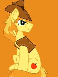 Size: 768x1024 | Tagged: safe, artist:cosmicartist-2000, braeburn, earth pony, pony, g4, clothes, eye clipping through hair, hat, male, old art, orange background, simple background, sitting, solo, stallion, turned head, vest