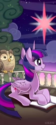 Size: 1080x2400 | Tagged: source needed, safe, owlowiscious, twilight sparkle, alicorn, g4, book, duo, golden oaks library, night, sparkles, twilight sparkle (alicorn)