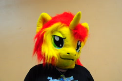 Size: 3216x2136 | Tagged: safe, artist:atalonthedeer, sunset shimmer, human, g4, 2014, bronymuc, fursuit, irl, irl human, photo, ponysuit