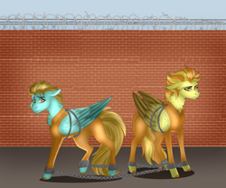 Size: 3000x2500 | Tagged: safe, artist:inisealga, lightning dust, spitfire, g4, barbed wire, bound wings, brick wall, chained, chains, clothes, commissioner:rainbowdash69, cuffed, never doubt rainbowdash69's involvement, prison outfit, prisoner, shackles, wings