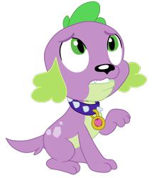 Size: 1900x2221 | Tagged: safe, artist:gmaplay, spike, spike the regular dog, dog, human, equestria girls, g4, collar, looking at each other, looking at someone, simple background, sitting, solo, spike the dog, transparent background