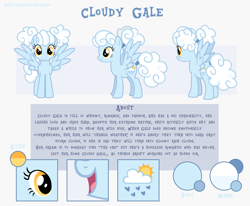 Size: 1920x1582 | Tagged: safe, artist:angalalove, oc, oc only, oc:cloudy gale, pegasus, pony, g4, female, mare, reference sheet, solo