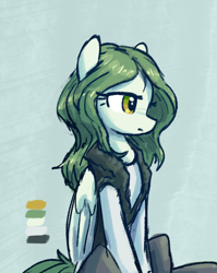 Size: 446x560 | Tagged: safe, artist:plunger, pegasus, pony, clothes, female, mare, solo